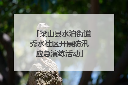 梁山县水泊街道秀水社区开展防汛应急演练活动