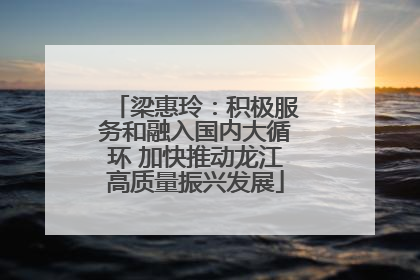 梁惠玲：积极服务和融入国内大循环 加快推动龙江高质量振兴发展