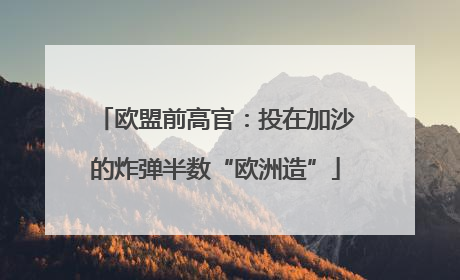 欧盟前高官：投在加沙的炸弹半数“欧洲造”