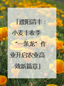 濮阳清丰：小麦丰收季 “一条龙”作业开启农业高效新篇章