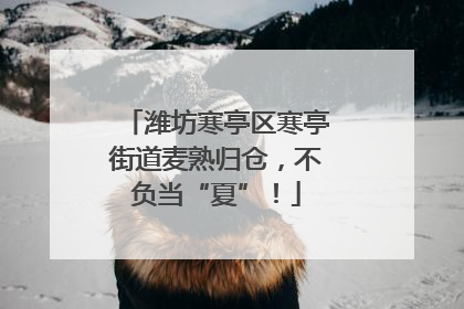 潍坊寒亭区寒亭街道麦熟归仓，不负当“夏”！