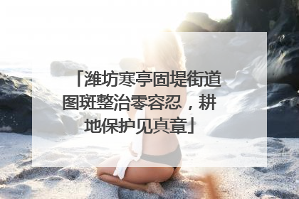 潍坊寒亭固堤街道图斑整治零容忍，耕地保护见真章