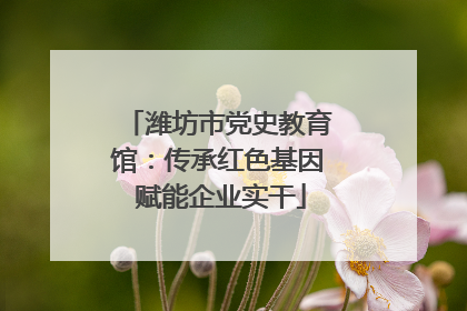 潍坊市党史教育馆：传承红色基因 赋能企业实干