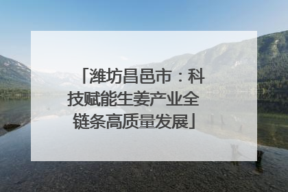 潍坊昌邑市：科技赋能生姜产业全链条高质量发展