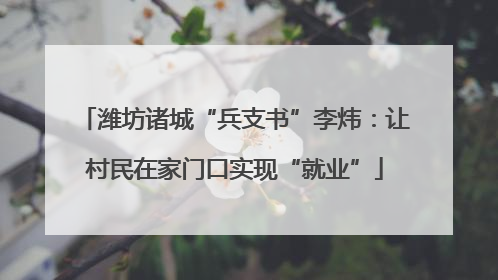 潍坊诸城“兵支书”李炜：让村民在家门口实现“就业”
