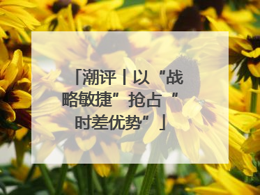 潮评丨以“战略敏捷”抢占“时差优势”