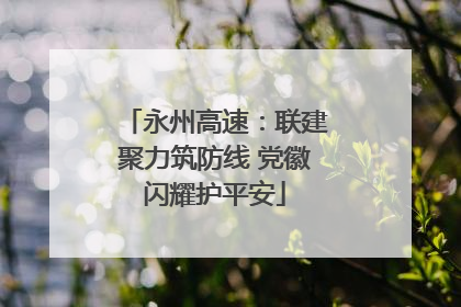 永州高速：联建聚力筑防线 党徽闪耀护平安