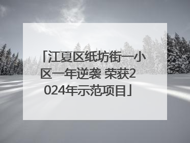 江夏区纸坊街一小区一年逆袭 荣获2024年示范项目