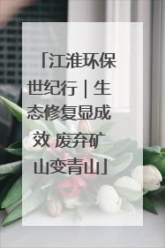 江淮环保世纪行｜生态修复显成效 废弃矿山变青山