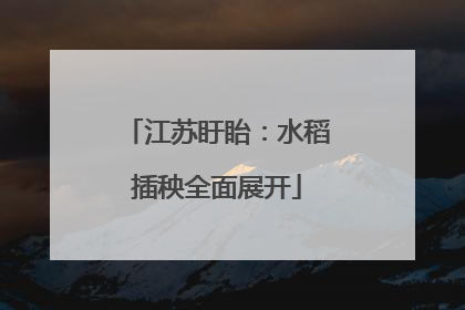 江苏盱眙：水稻插秧全面展开