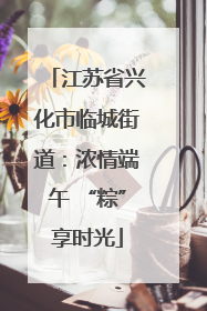 江苏省兴化市临城街道：浓情端午 “粽”享时光