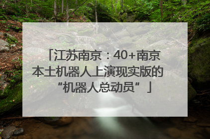 江苏南京：40+南京本土机器人上演现实版的“机器人总动员”
