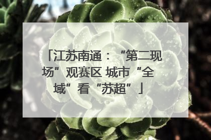 江苏南通：“第二现场”观赛区 城市“全域”看“苏超”