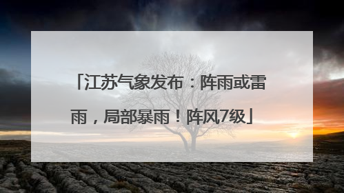 江苏气象发布：阵雨或雷雨，局部暴雨！阵风7级