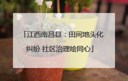 江西南昌县：田间地头化纠纷 社区治理绘同心