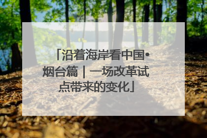 沿着海岸看中国•烟台篇｜一场改革试点带来的变化