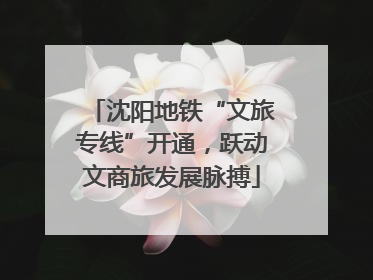 沈阳地铁“文旅专线”开通，跃动文商旅发展脉搏