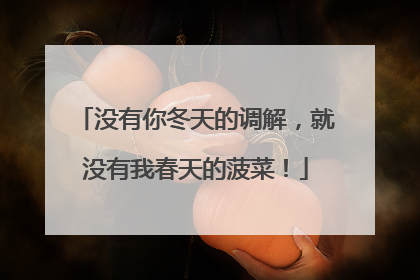 没有你冬天的调解，就没有我春天的菠菜！