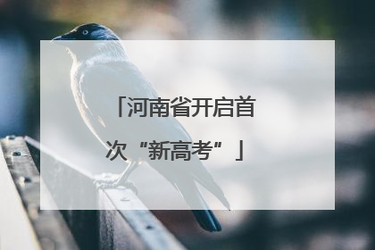 河南省开启首次“新高考”