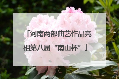 河南两部曲艺作品亮相第八届“南山杯”