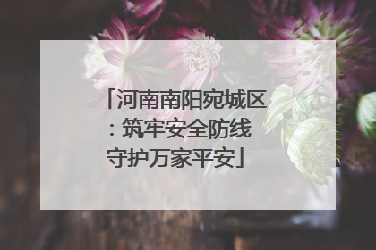 河南南阳宛城区：筑牢安全防线 守护万家平安