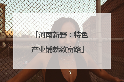 河南新野：特色产业铺就致富路