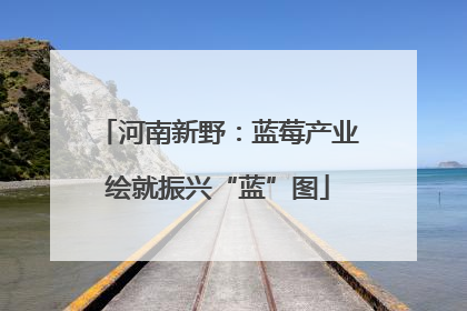 河南新野：蓝莓产业绘就振兴“蓝”图