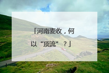 河南麦收，何以“顶流”？
