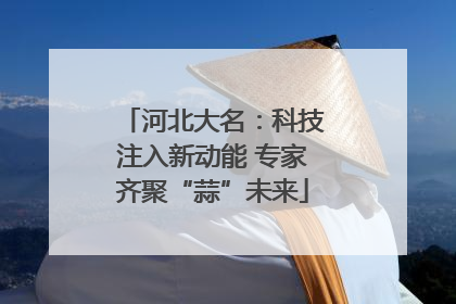 河北大名：科技注入新动能 专家齐聚“蒜”未来