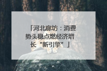 河北廊坊：消费势头稳点燃经济增长“新引擎”