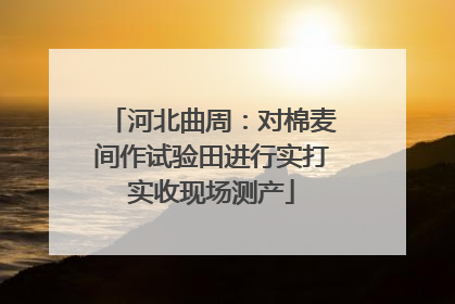 河北曲周：对棉麦间作试验田进行实打实收现场测产