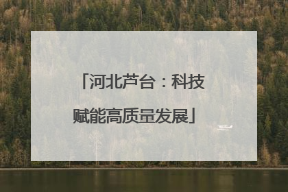 河北芦台：科技赋能高质量发展
