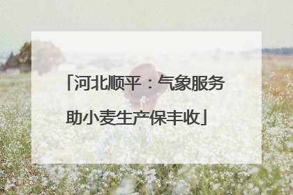 河北顺平：气象服务助小麦生产保丰收