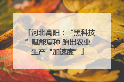 河北高阳：“黑科技”赋能夏种 跑出农业生产“加速度”
