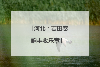 河北：麦田奏响丰收乐章