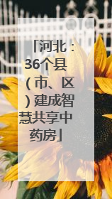 河北：36个县（市、区）建成智慧共享中药房
