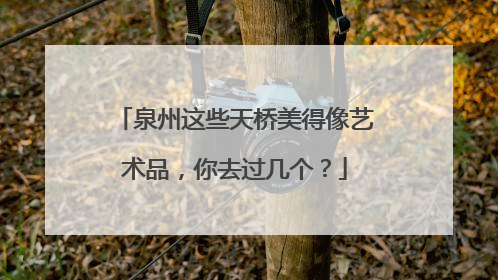 泉州这些天桥美得像艺术品，你去过几个？