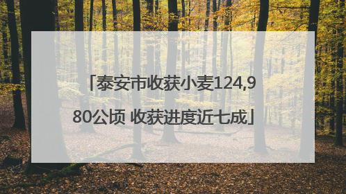 泰安市收获小麦124,980公顷 收获进度近七成