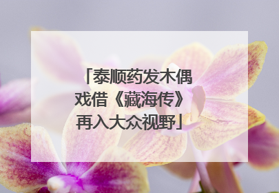 泰顺药发木偶戏借《藏海传》再入大众视野