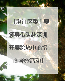 洛江区委主要领导带队赴深圳开展跨境电商招商考察活动