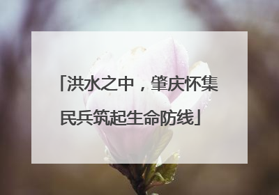 洪水之中，肇庆怀集民兵筑起生命防线
