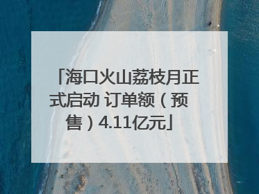 海口火山荔枝月正式启动 订单额（预售）4.11亿元