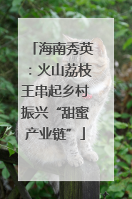 海南秀英：火山荔枝王串起乡村振兴“甜蜜产业链”