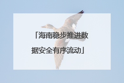 海南稳步推进数据安全有序流动