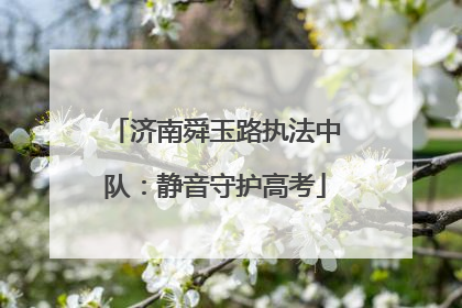 济南舜玉路执法中队：静音守护高考