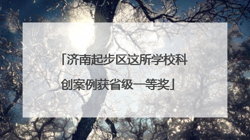 济南起步区这所学校科创案例获省级一等奖