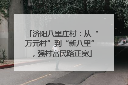 济阳八里庄村：从“万元村”到“新八里”，强村富民路正宽