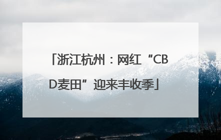 浙江杭州：网红“CBD麦田”迎来丰收季
