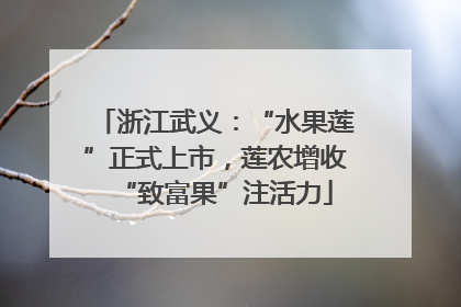 浙江武义：“水果莲”正式上市，莲农增收“致富果”注活力