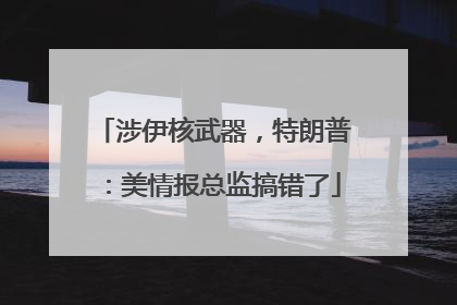 涉伊核武器，特朗普：美情报总监搞错了